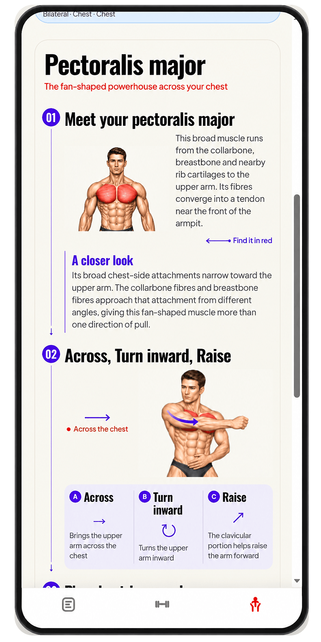 MyMyo pectoralis major guide explaining chest anatomy and movements with illustrations